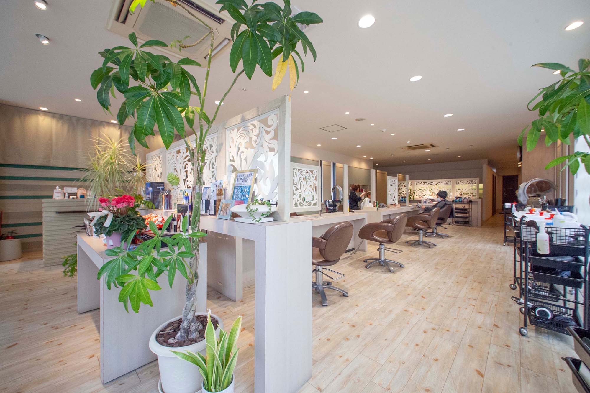 Hair Make and Esthetic Rabbit